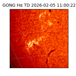 gong - 2026-02-05T11:00:22