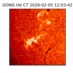 gong - 2026-02-05T12:03:42