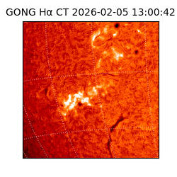 gong - 2026-02-05T13:00:42