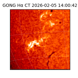 gong - 2026-02-05T14:00:42