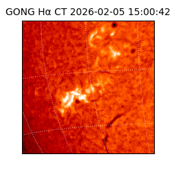 gong - 2026-02-05T15:00:42