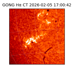 gong - 2026-02-05T17:00:42