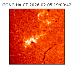 gong - 2026-02-05T19:00:42