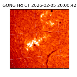 gong - 2026-02-05T20:00:42