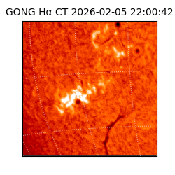 gong - 2026-02-05T22:00:42