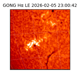 gong - 2026-02-05T23:00:42