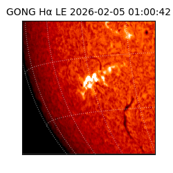 gong - 2026-02-05T01:00:42