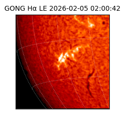 gong - 2026-02-05T02:00:42