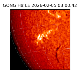 gong - 2026-02-05T03:00:42