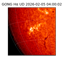 gong - 2026-02-05T04:00:02