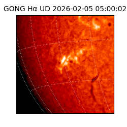 gong - 2026-02-05T05:00:02