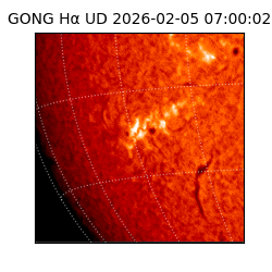 gong - 2026-02-05T07:00:02