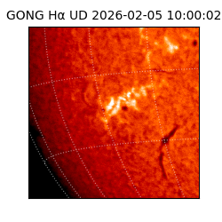 gong - 2026-02-05T10:00:02