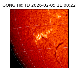 gong - 2026-02-05T11:00:22