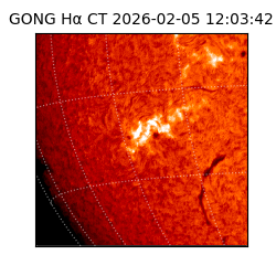 gong - 2026-02-05T12:03:42