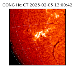 gong - 2026-02-05T13:00:42