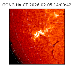 gong - 2026-02-05T14:00:42