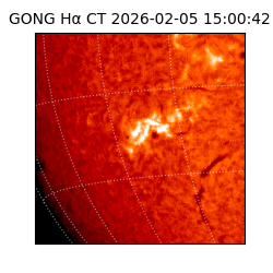 gong - 2026-02-05T15:00:42