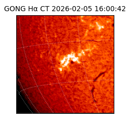 gong - 2026-02-05T16:00:42