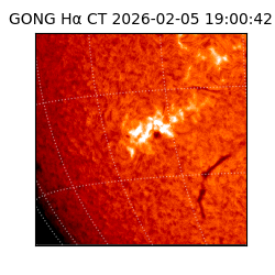 gong - 2026-02-05T19:00:42