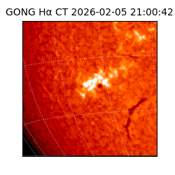 gong - 2026-02-05T21:00:42