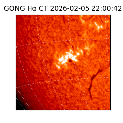 gong - 2026-02-05T22:00:42