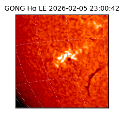 gong - 2026-02-05T23:00:42