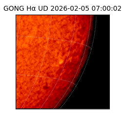 gong - 2026-02-05T07:00:02