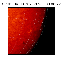 gong - 2026-02-05T09:00:22