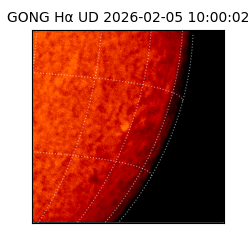 gong - 2026-02-05T10:00:02