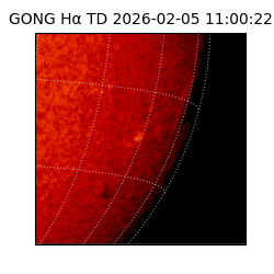 gong - 2026-02-05T11:00:22