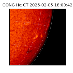 gong - 2026-02-05T18:00:42