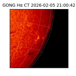 gong - 2026-02-05T21:00:42