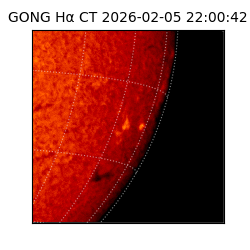 gong - 2026-02-05T22:00:42