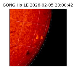 gong - 2026-02-05T23:00:42