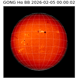 gong - 2026-02-05T00:00:02
