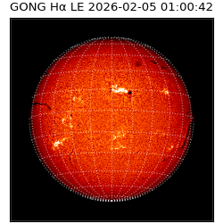 gong - 2026-02-05T01:00:42
