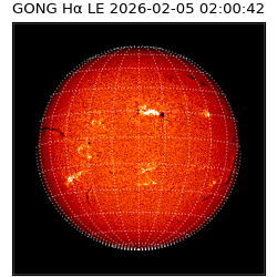 gong - 2026-02-05T02:00:42