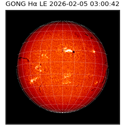 gong - 2026-02-05T03:00:42
