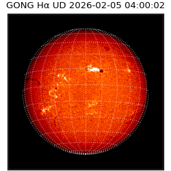 gong - 2026-02-05T04:00:02