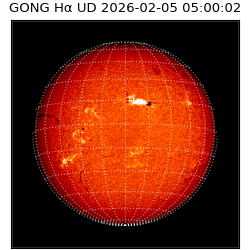 gong - 2026-02-05T05:00:02