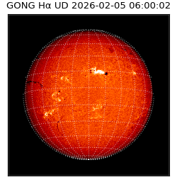 gong - 2026-02-05T06:00:02