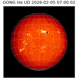 gong - 2026-02-05T07:00:02