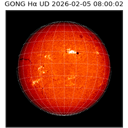 gong - 2026-02-05T08:00:02