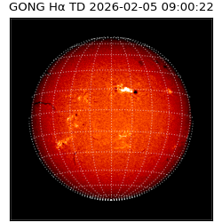 gong - 2026-02-05T09:00:22