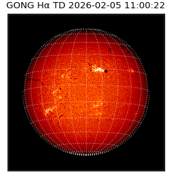 gong - 2026-02-05T11:00:22