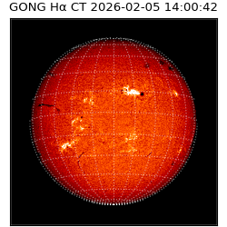 gong - 2026-02-05T14:00:42