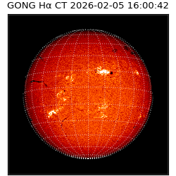 gong - 2026-02-05T16:00:42