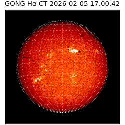 gong - 2026-02-05T17:00:42