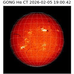 gong - 2026-02-05T19:00:42